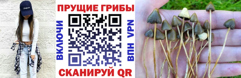 Галлюциногенные грибы ЛСД  где купить наркоту  Таруса 